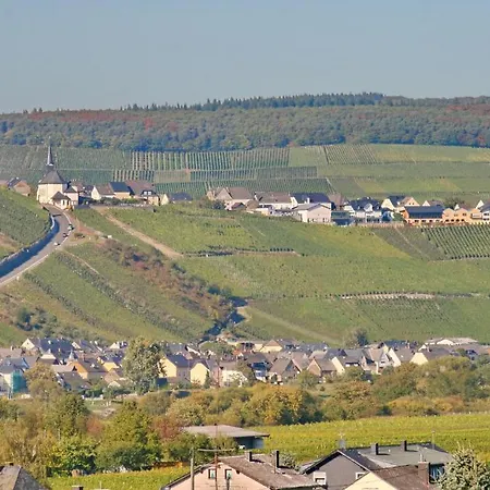 Restaurant Moselblick Wintrich