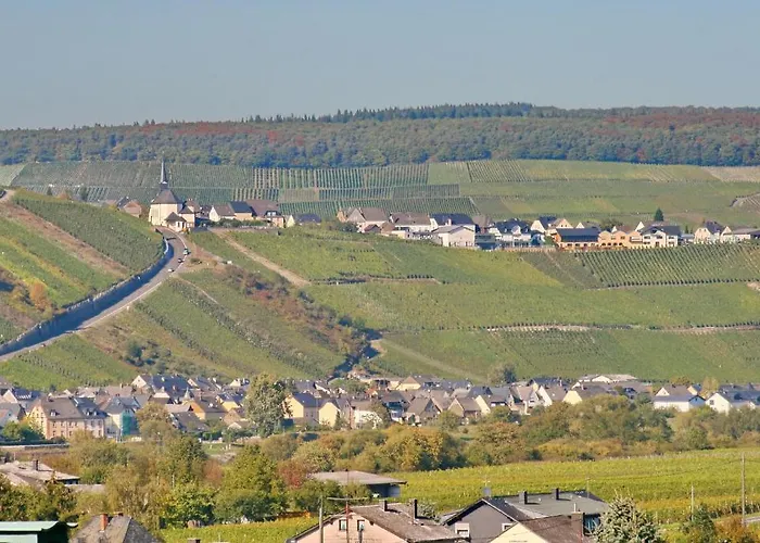 Restaurant Moselblick Wintrich